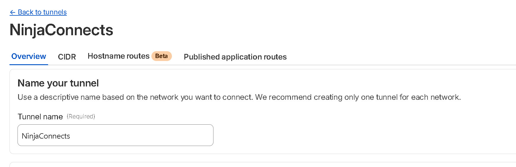 Public Hostname